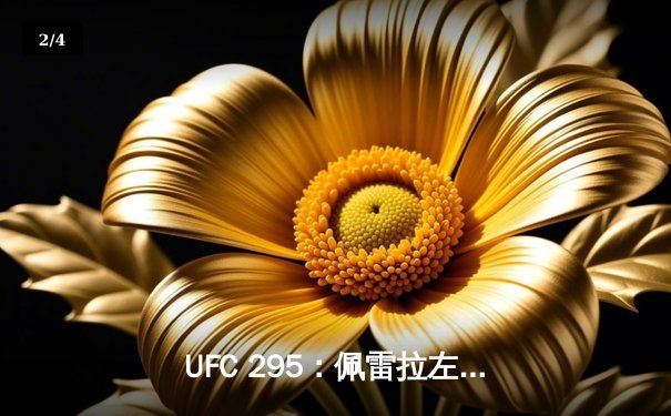 UFC 295：佩雷拉左勾拳终结普罗哈兹卡 重夺轻重量级金腰带 - 2